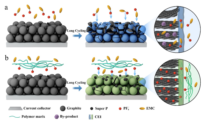 Schematic illustration of the EMC co-intercalation behavior comparison in LE (a) or PCME (b) based DIBs