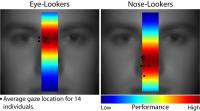 When Identifying Someone, Most Humans Tend to Look First Just below the Eyes