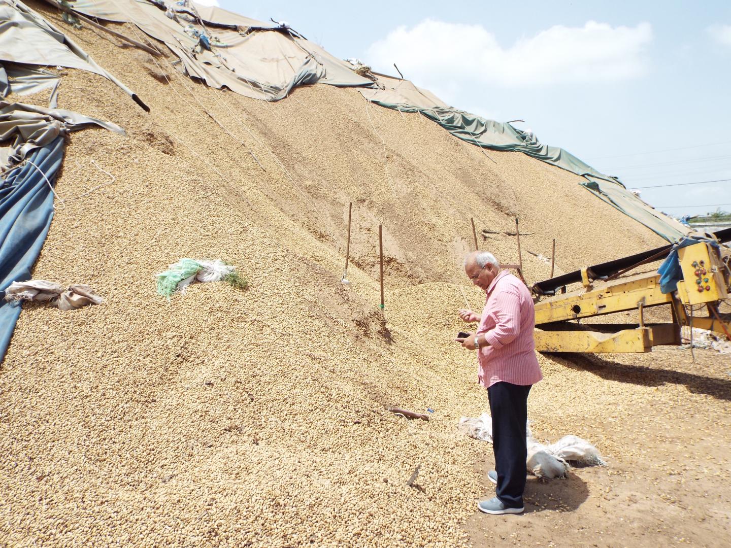 Ranajit Bandyopadhyay? in Front of Groundnut Pile