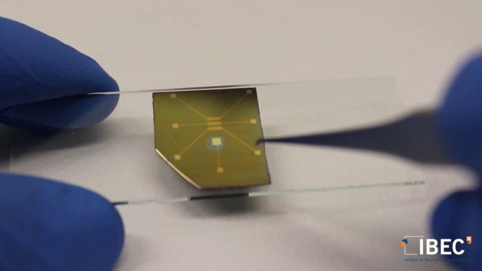 Organic Transistor [IMAGE] | EurekAlert! Science News Releases