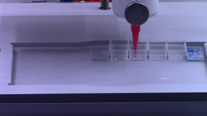 3D Bioprinting Plant Cells