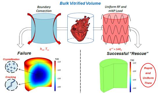 Heating of Magnetic Nanoparticles