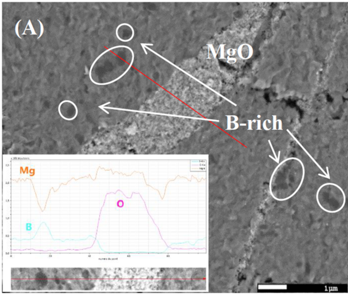 An SEM micrograph of MgB2, a superconductor, prepared at SIT, with different regions mapped