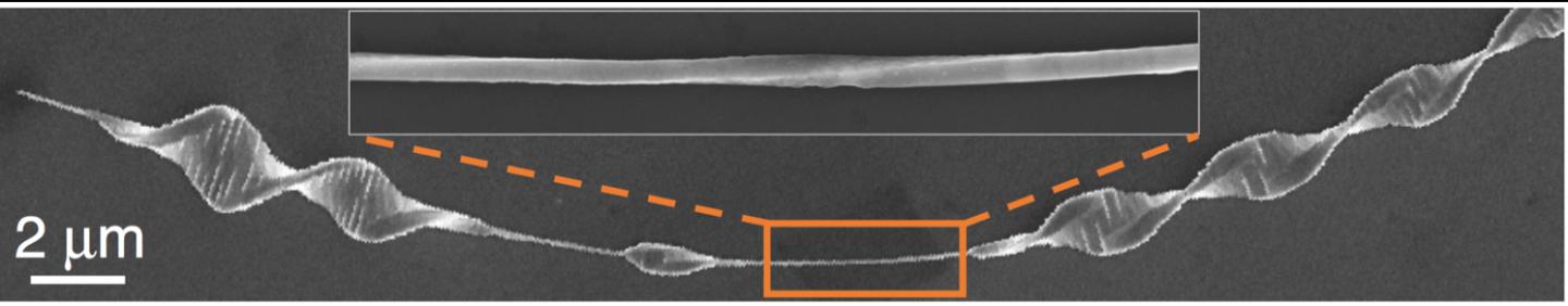Micrograph of Nanowire with Eshelby Twist