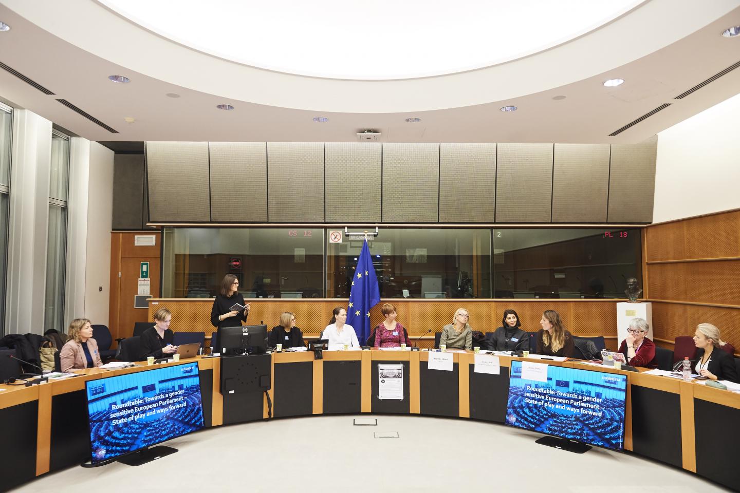Study Questions European Parliament's Perception as Champion of Gender Equality