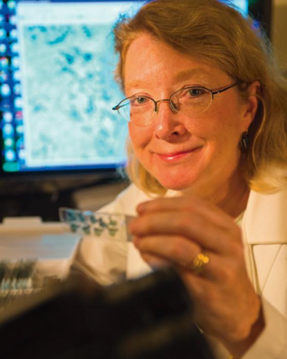 Margaret McCarthy headshot [IMAGE] | EurekAlert! Science News Releases