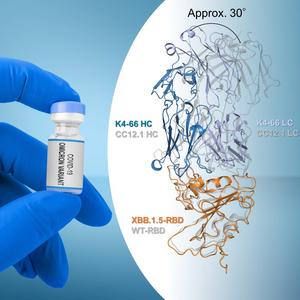 How the Antibody K4-66 Binds to SARS-CoV-2 Spike Protein