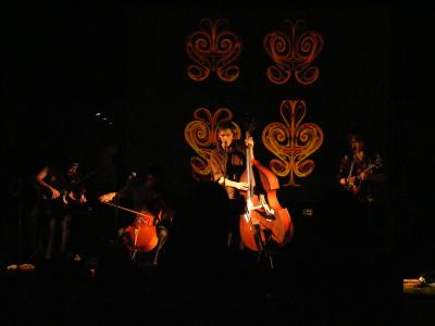 Stirring Faces, Stirring Music: Art of Science 2010