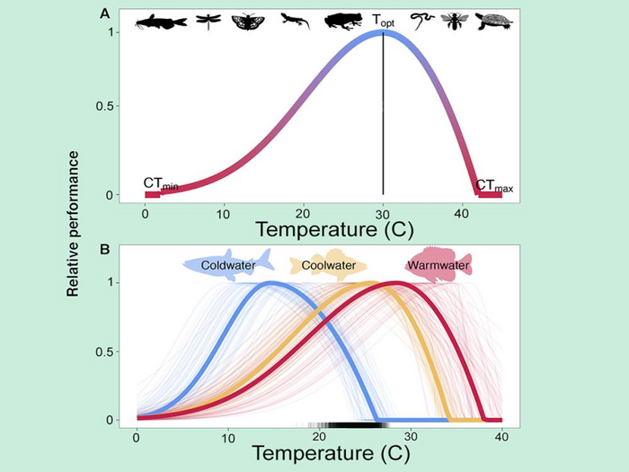 Graphic showing most cold-blooded animals react similarly to temperature.