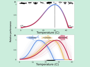 Graphic showing most cold-blooded animals react similarly to temperature.