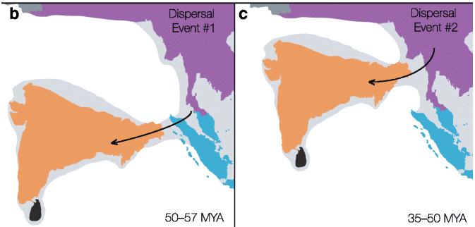 Paleomaps Show Land Bridges