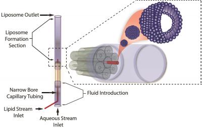 3-D Microfluidic Hydrodynamic Focusing Device