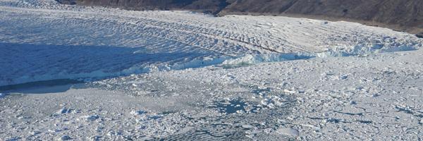 Measuring Iceberg Production with Earthquakes