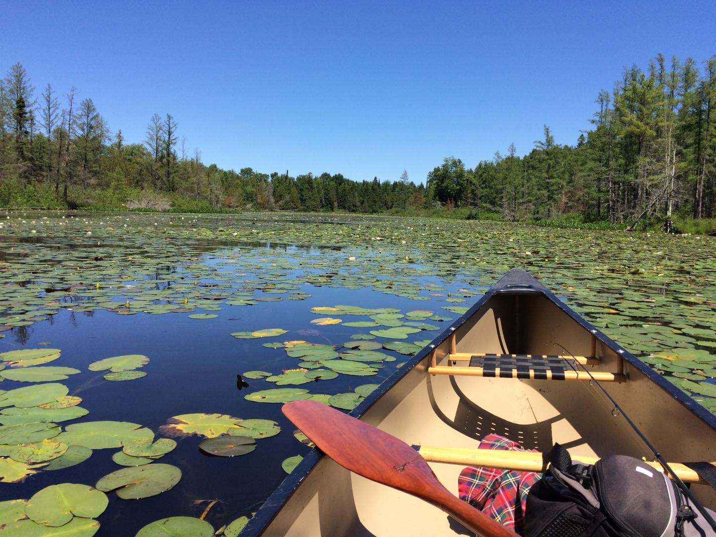 Tenderfoot Lake, WI