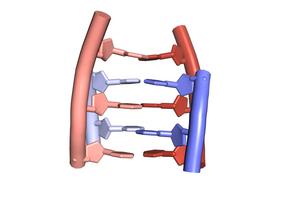 Animation of DNA’s knot-like i-motif structure