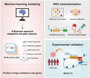 Landscape of the Identification of high-confidence risk genes for CRC via iRIGS