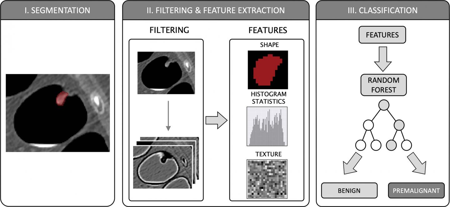 Machine Learning Method Identifies Precancerous Colon Polyps