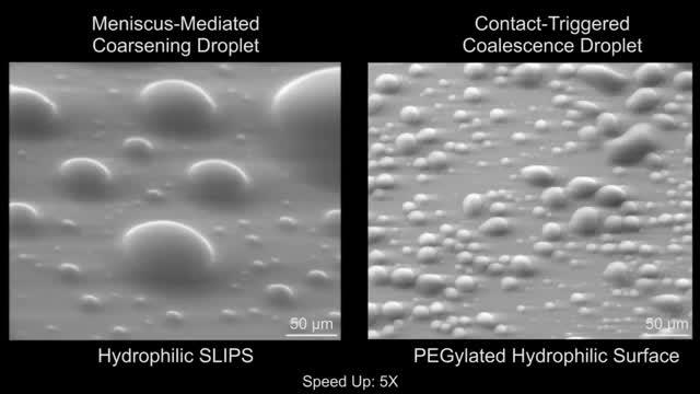 Meniscus-mediated Coarsening Droplet