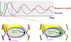 Competitive relation between magnetic island and localized plasma current derived with the predator-prey model.