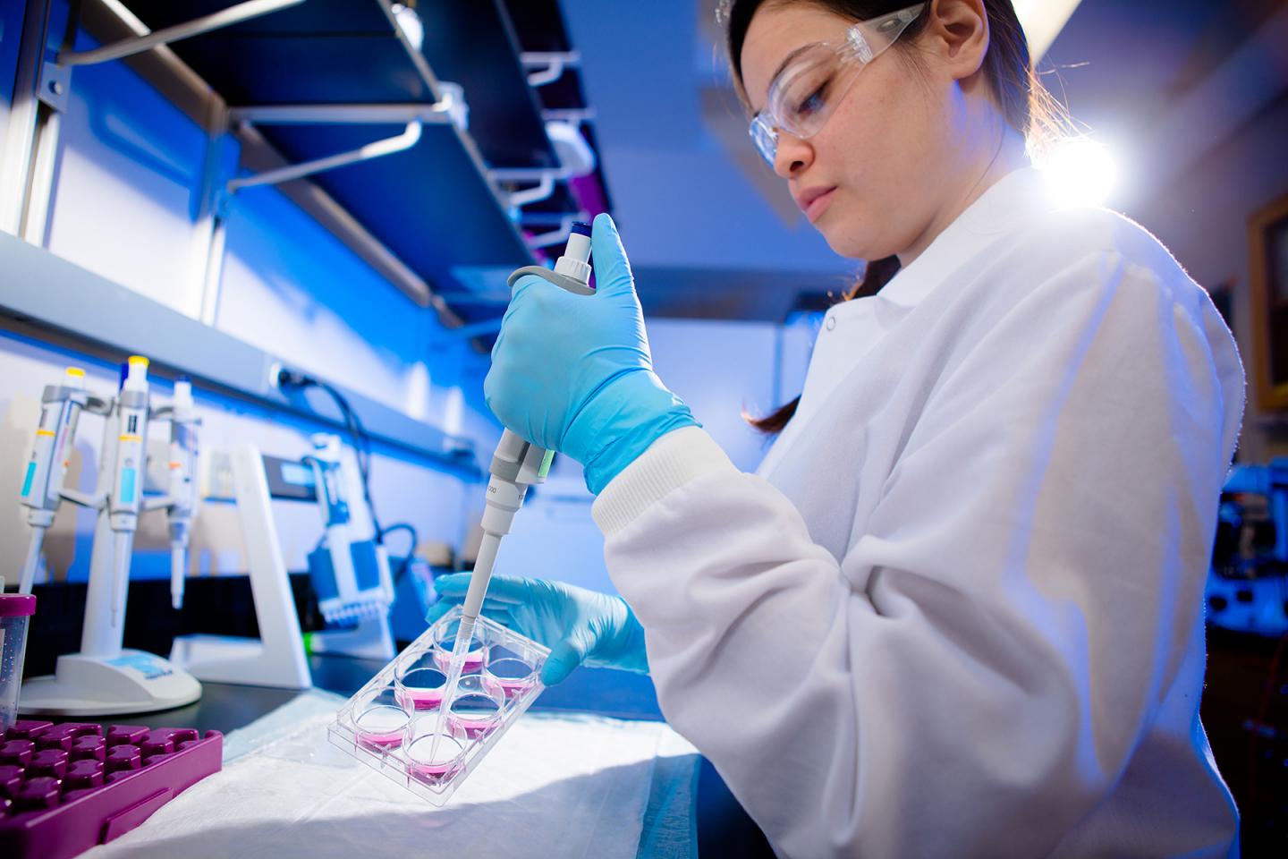 Pipetting in the Lab of G. Ekin Atilla-Gokcumen