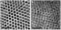 TEM Image of Nanocomposite