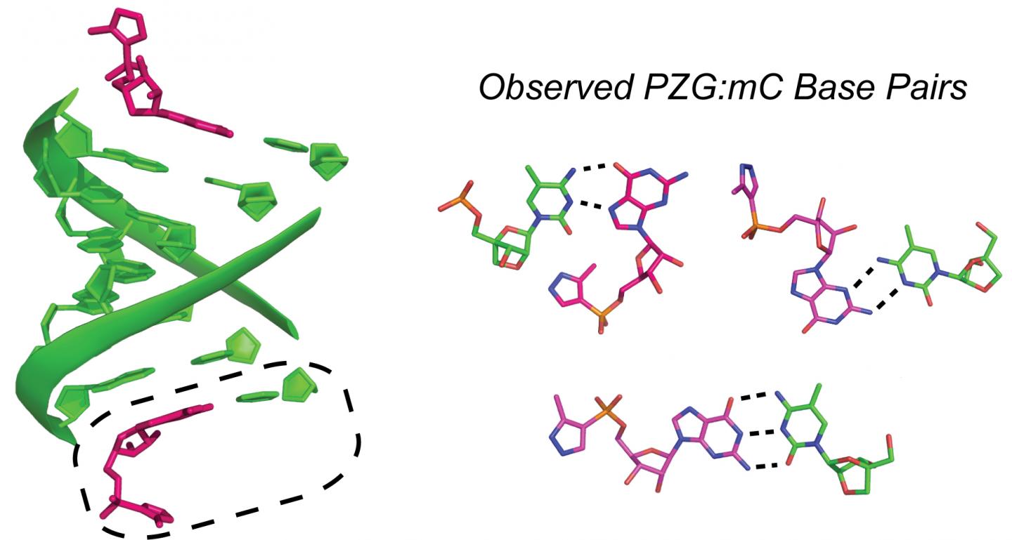 Looking at RNA for New Insights on Origin of Life