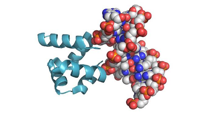 Primordial Proteins