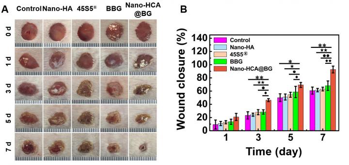 A Next Generation Material for Skin-healing: Nano-scale Borate Bioactive Glass