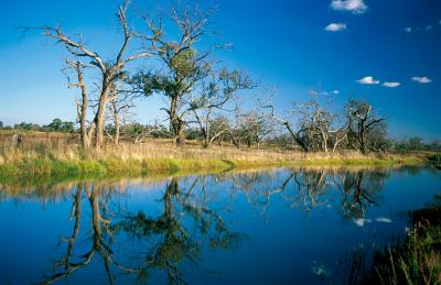 Australia's Top Models at Science Conference