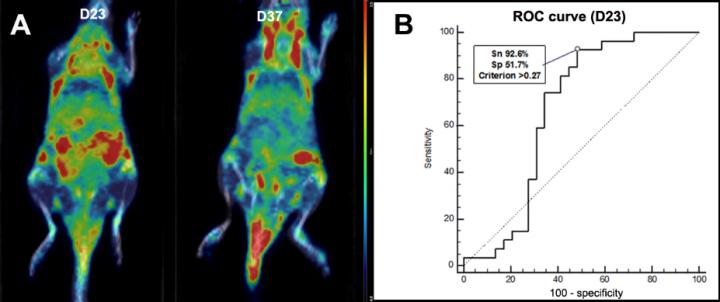 Coronal Section of 18F-FEDAC PET/CT on Days 23 and 37 in the Same Mouse