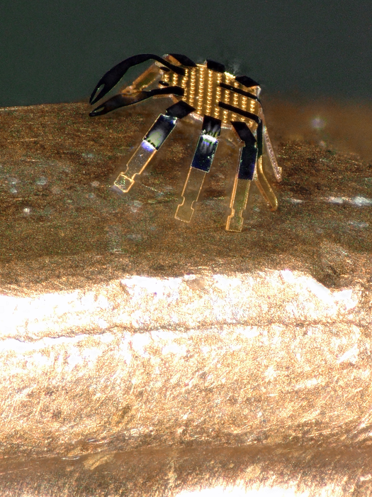 Close-up of tiny crab robot