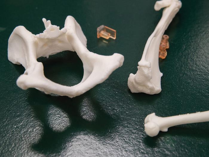 3D printed "bones"