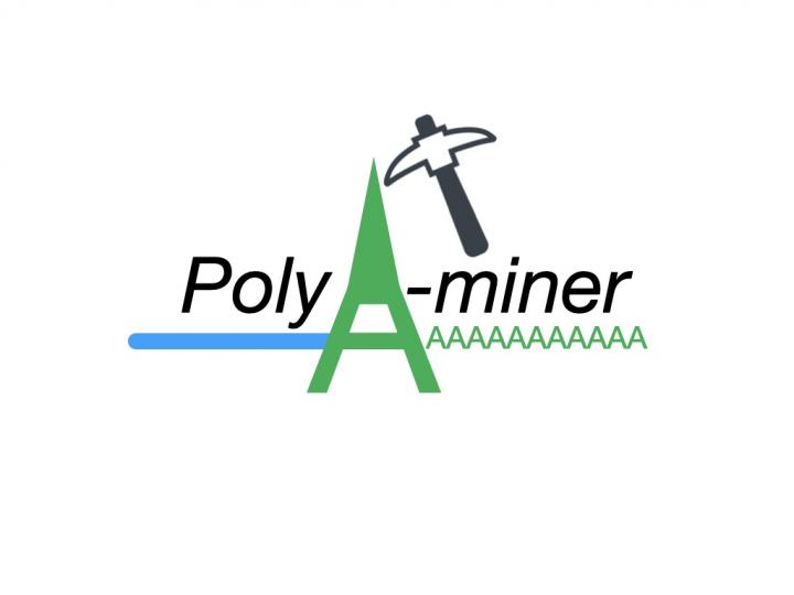 PolyA-miner