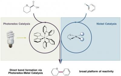 A Merger Between Photoredox and Nickel Catalysis