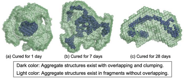 Molecular structure of hydrogel specimens as obtained through theoretical modeling