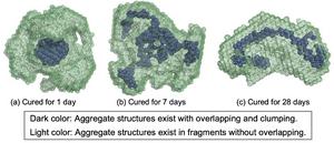 Molecular structure of hydrogel specimens as obtained through theoretical modeling