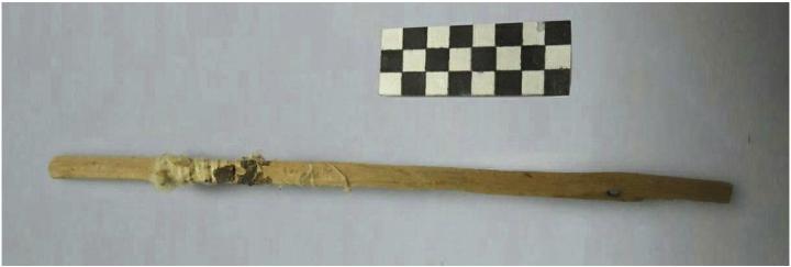 A 2,000-Year-Old Personal Hygiene Stick