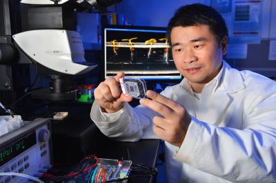  Liang Dong, Iowa State University