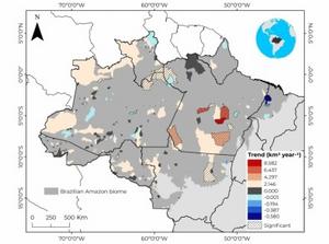 Deforestation rates accelerating between 2019 and 2021