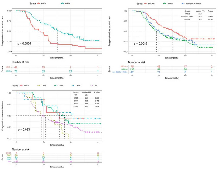 Figure 3: KM Survival Analysis Curves Grouped by HRD Status, HRR Gene Mutation, and BRCA1 Mutation Domain