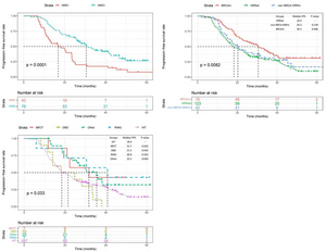 Figure 3: KM Survival Analysis Curves Grouped by HRD Status, HRR Gene Mutation, and BRCA1 Mutation Domain