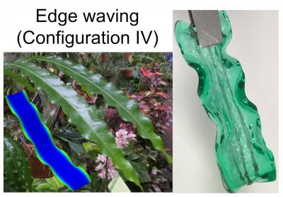 Edge Waving (Configuration IV)