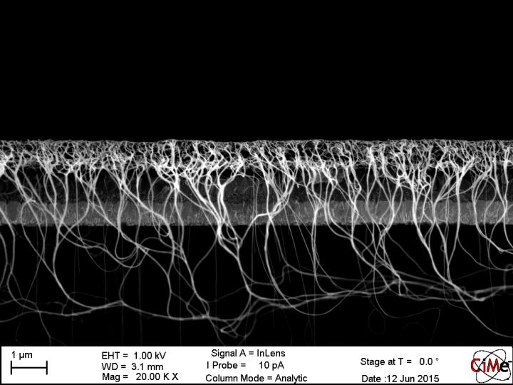 Cross-Section of the Solar Cell in an Electron Microscope Image
