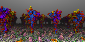 COVID-19 spike protein atomistic model