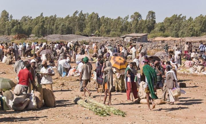 Mobile Workers in North Ethiopia Vulnerable to Visceral Leishmaniasis Transmission