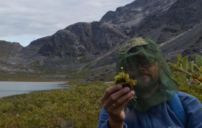 The researcher and Mycena in the field. Photo: Christoffer Bugge Harder