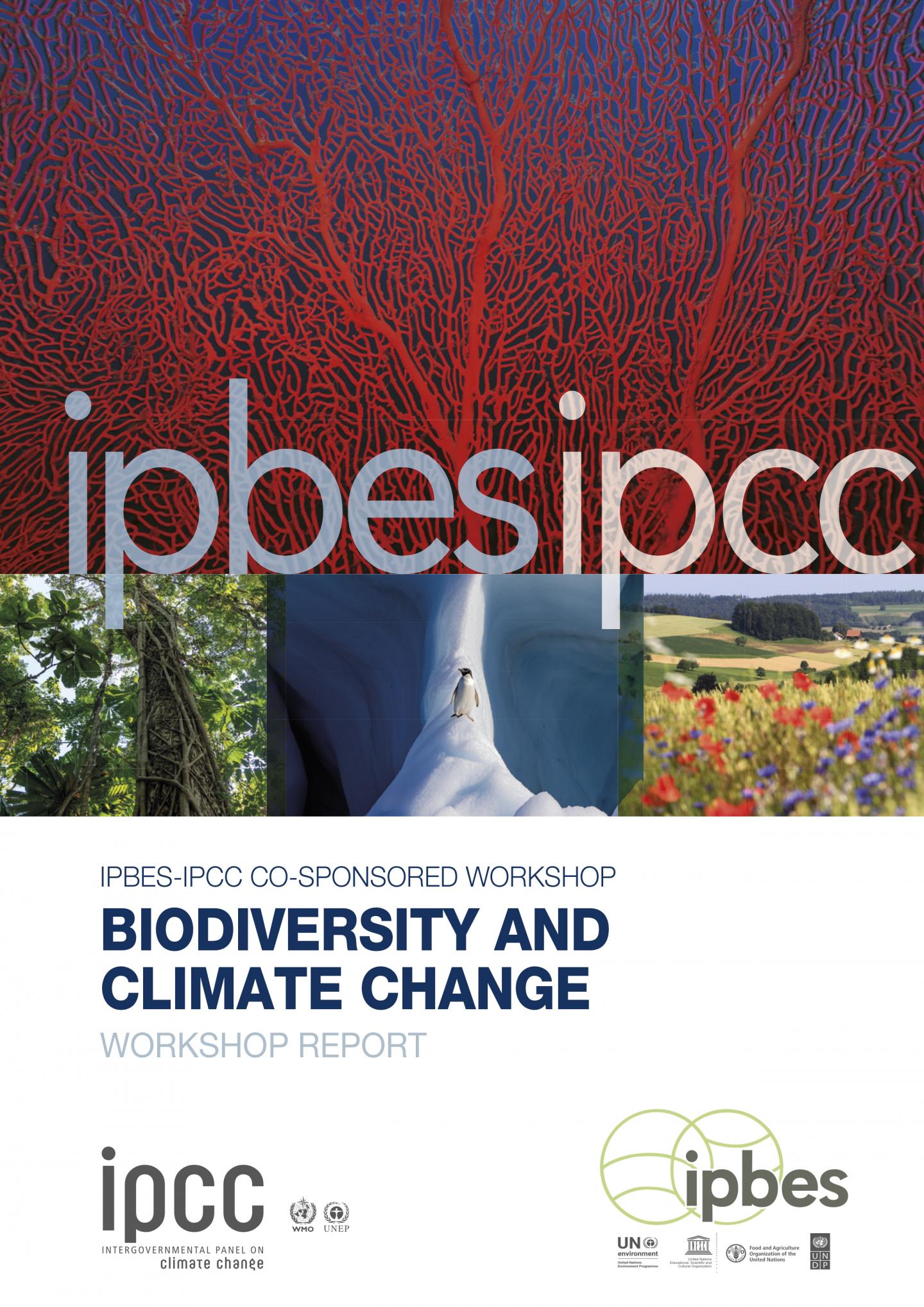 Report of the IPBES/IPCC workshop
