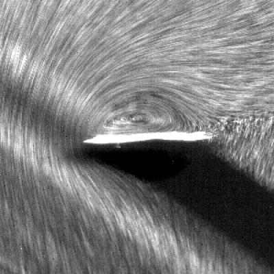 Tornado-like Vortex Visualized on Top of a Freely Flying Maple Seed