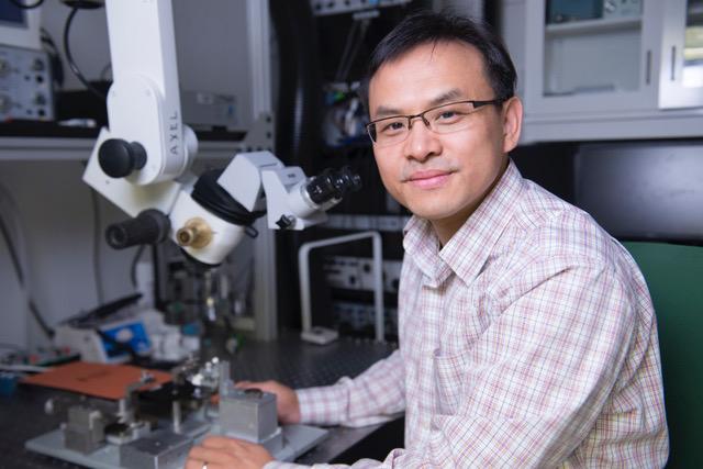 Qi Wang, Assistant Professor of Biomedical Engineering at Columbia Engineering