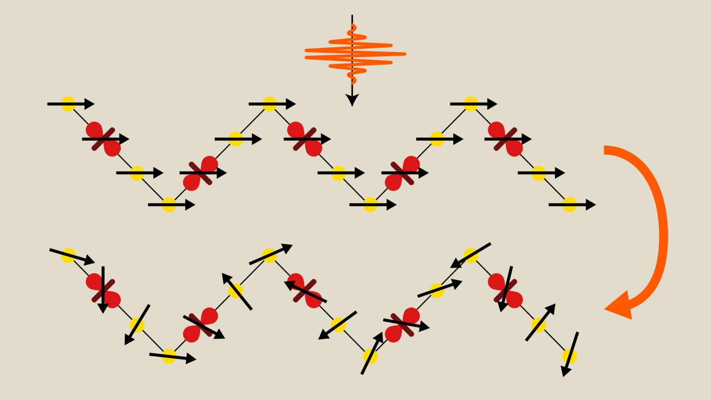 Decoupling Electrons' Spin and Orbital States in a Quantum Material